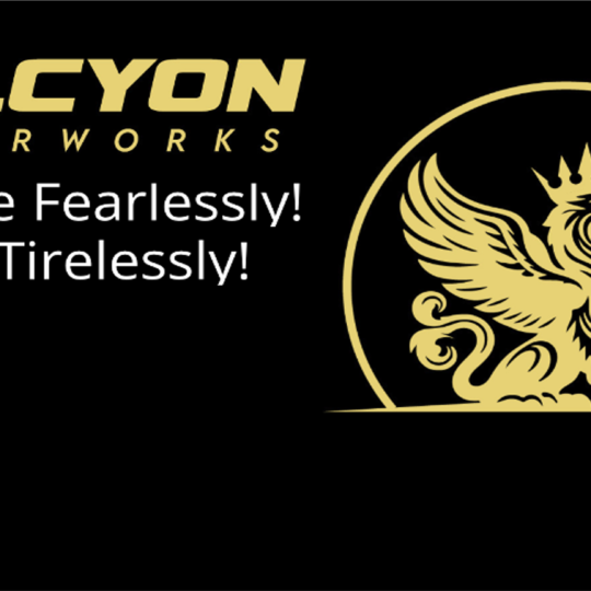 https://halcyoncyber.works/wp-content/uploads/2025/04/soon02-540x540.png